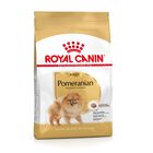 Royal Canin Adult Lulu da Pomerânia ração para cães, , large image number null